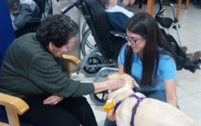 Terapia de perros y conejos