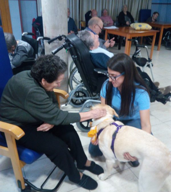 Terapia de perros y conejos